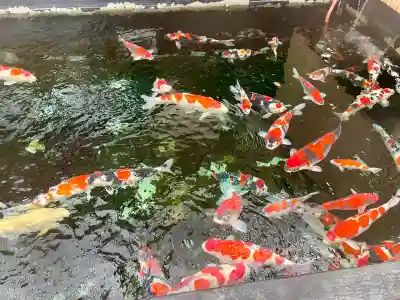 感通寺の{uncategorized: "未分類", other: "その他", undefined: "問題あり", building: "その他建物", grave: "お墓", sacred_gate: "鳥居", guardian: "狛犬", statue: "像", buddha: "仏像", history: "歴史", nature: "自然", garden: "庭園", animal: "動物", pagoda: "塔", temizu: "手水舎", mountain_gate: "山門・神門", sanctuary: "本殿・本堂", subordinate: "末社・摂社", art: "芸術", scenery: "景色", jizo: "地蔵", ema: "絵馬", goshuin: "御朱印", omikuji: "おみくじ", items: "授与品その他", amulet: "お守り", goshuincho: "御朱印帳", eats: "食事", festival: "お祭り", votive_dance: "神楽", shichigosan: "七五三参", wedding: "結婚式", experience: "体験その他", initially: "初詣", around: "周辺", anti_infection: "感染症対策"}