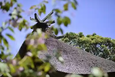 大洗磯前神社(茨城県)