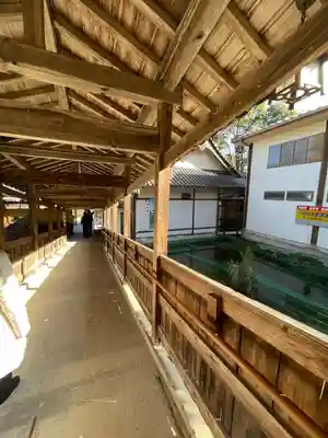 瑠璃光寺(山口県)