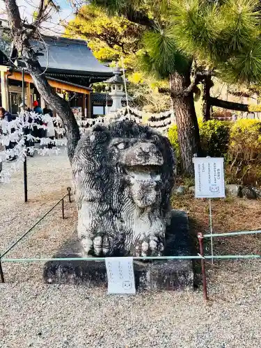 京都乃木神社の狛犬
