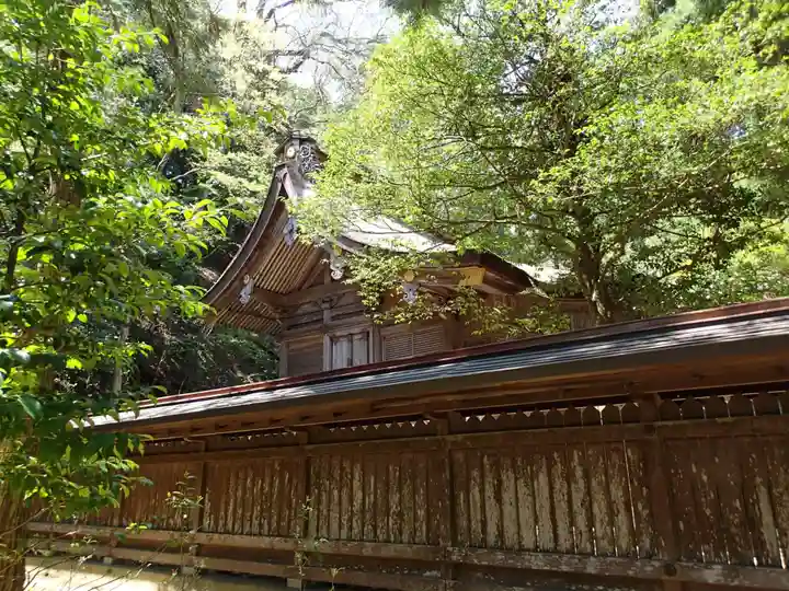 若狭姫神社(若狭彦神社下社)の本殿・本堂
