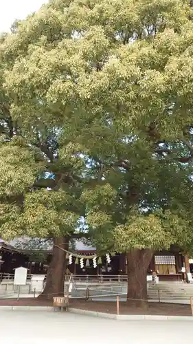 明治神宮の自然