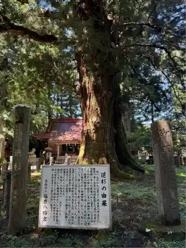 塩原八幡宮(栃木県)