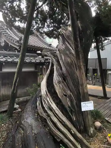 光明寺の御朱印