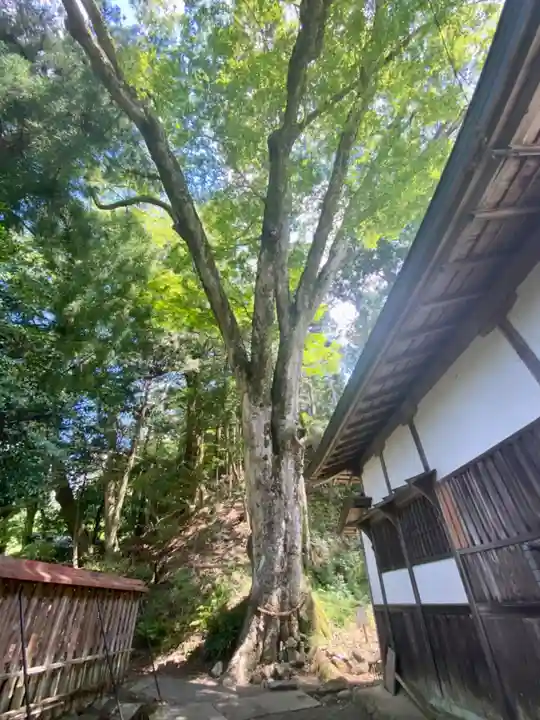 丹生川上神社(下社)(奈良県)