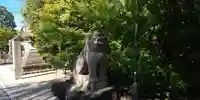 晴明神社の狛犬
