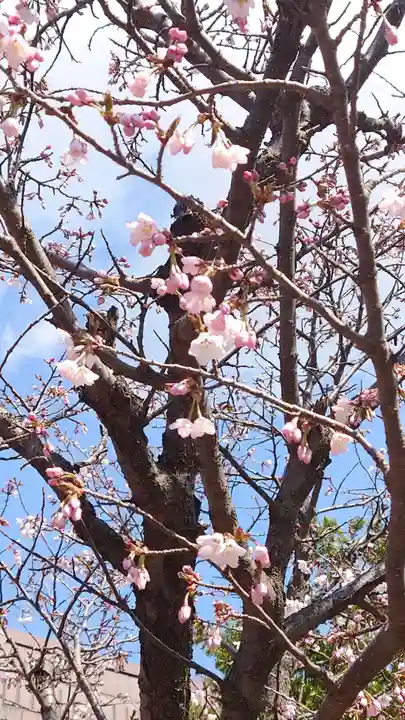 相馬神社(北海道)