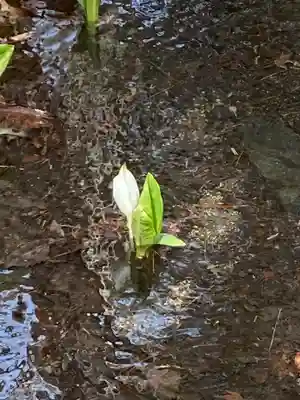 十二山神社(群馬県)