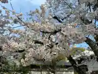 伊勢の国 四天王寺(三重県)