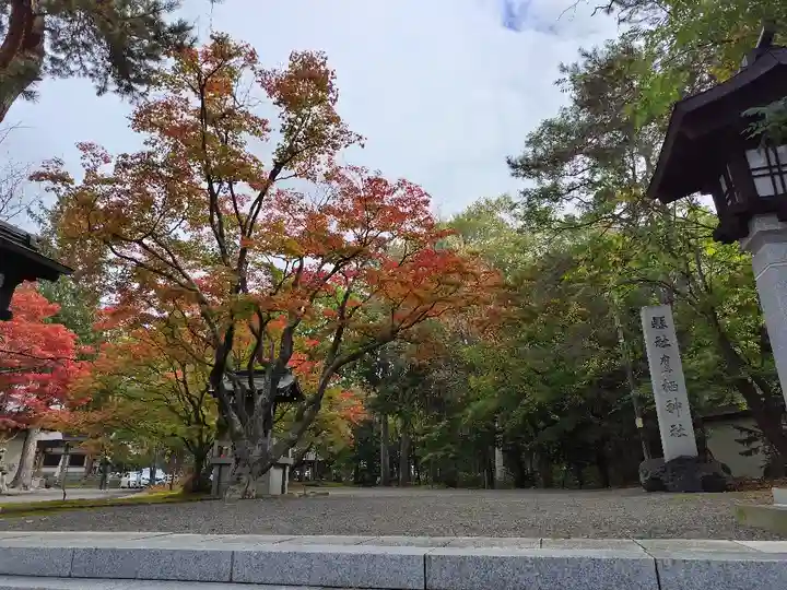 鷹栖神社の庭園