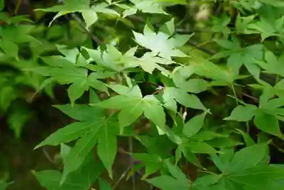 善法律寺(京都府)