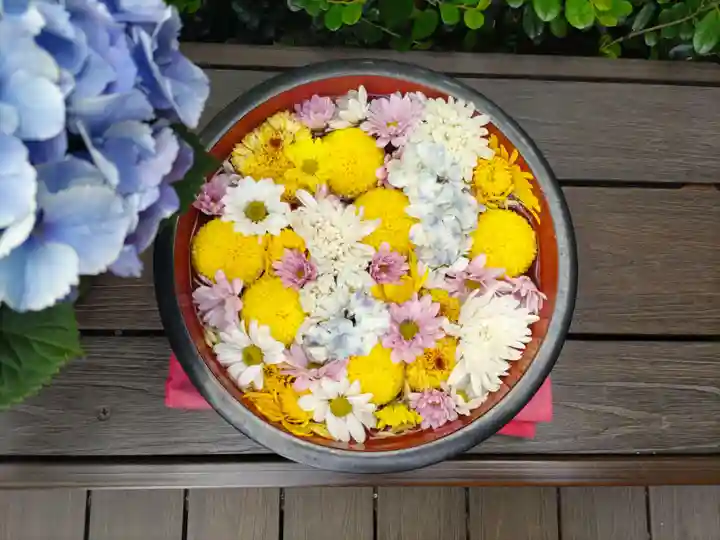 増上寺塔頭 三縁山 宝珠院の手水舎