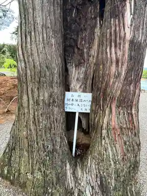 毛越寺(岩手県)