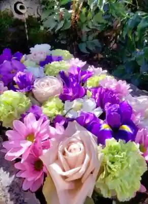本郷氷川神社(東京都)