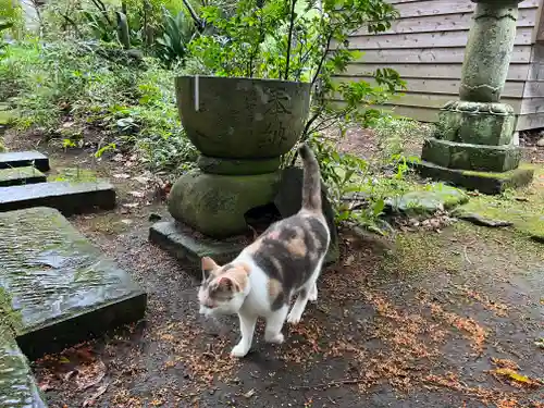 かっぱの寺 栖足寺(静岡県)