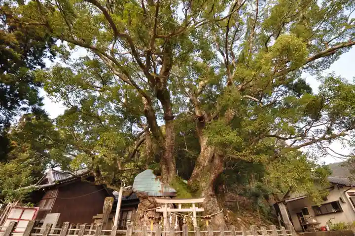 須賀神社(高知県)
