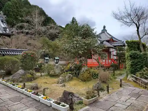 金剛寺の庭園