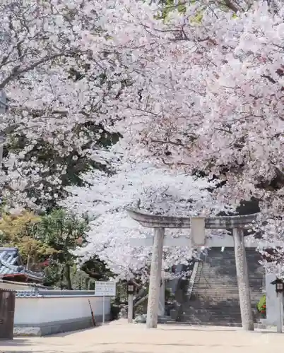 勝岡八幡神社(愛媛県)