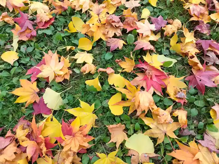北海道護國神社の自然