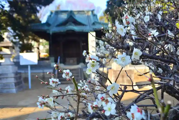 西光院(千葉県)