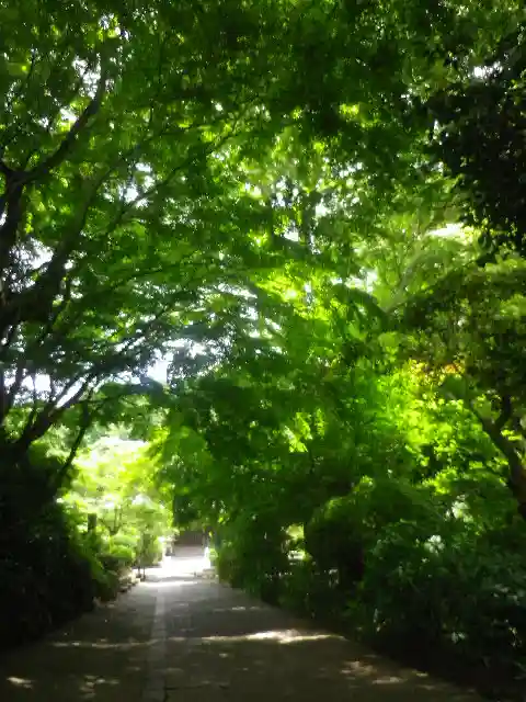 妙本寺のその他建物