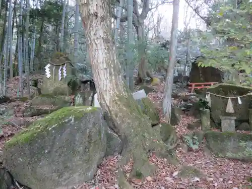 岩谷の滝大聖院の自然