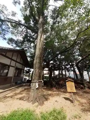 濱宮(和歌山県)