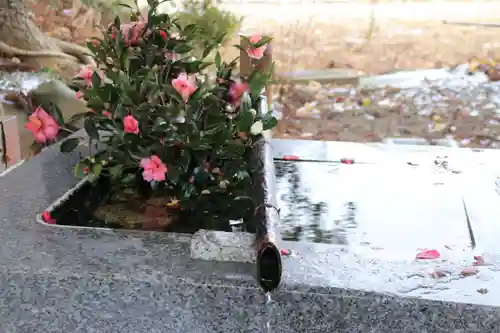 高司神社〜むすびの神の鎮まる社〜の手水