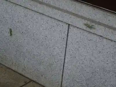 井草八幡宮の動物