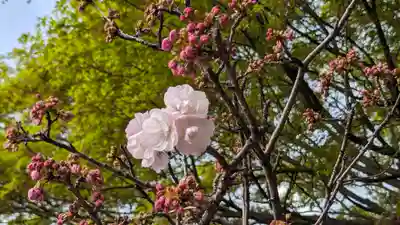 大報恩寺（千本釈迦堂）(京都府)
