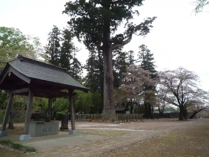 弘経寺の手水舎