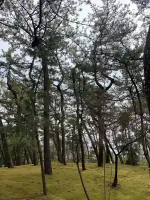 稲毛浅間神社(千葉県)