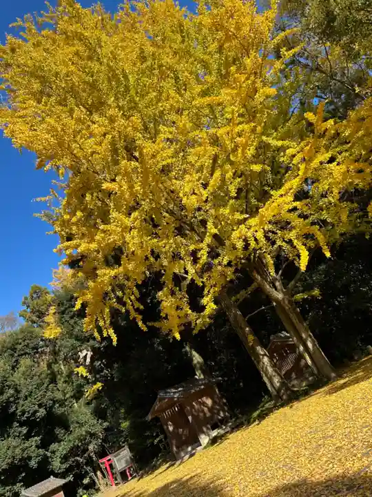 玉敷神社(埼玉県)