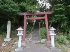 大井神社の鳥居