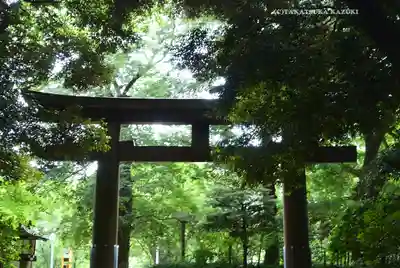 明治神宮(東京都)