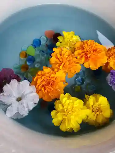 白金氷川神社の手水舎