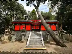 十市御縣坐神社(奈良県)