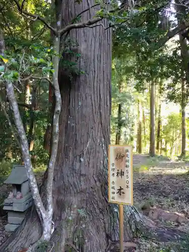 赤城神社(茨城県)