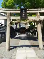 白山神社(大阪府)
