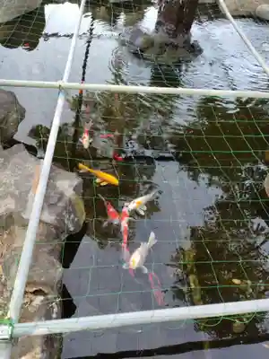 住吉神社(山梨県)