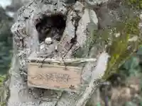 吸湖山 青岸寺の景色