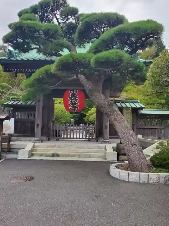 長谷寺の山門・神門