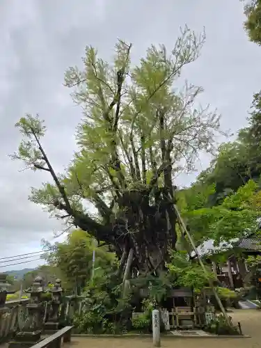 葛城一言主神社(奈良県)