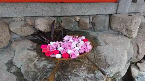 生田神社の手水舎