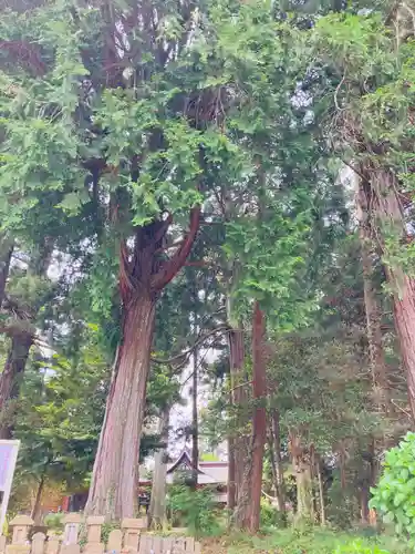 山倉大神(千葉県)