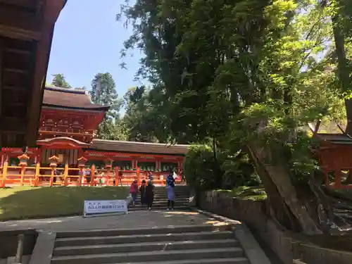 春日大社の本殿