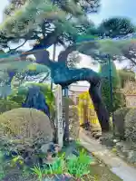長昌寺の{uncategorized: "未分類", other: "その他", undefined: "問題あり", building: "その他建物", grave: "お墓", sacred_gate: "鳥居", guardian: "狛犬", statue: "像", buddha: "仏像", history: "歴史", nature: "自然", garden: "庭園", animal: "動物", pagoda: "塔", temizu: "手水舎", mountain_gate: "山門・神門", sanctuary: "本殿・本堂", subordinate: "末社・摂社", art: "芸術", scenery: "景色", jizo: "地蔵", ema: "絵馬", goshuin: "御朱印", omikuji: "おみくじ", items: "授与品その他", amulet: "お守り", goshuincho: "御朱印帳", eats: "食事", festival: "お祭り", votive_dance: "神楽", shichigosan: "七五三参", wedding: "結婚式", experience: "体験その他", initially: "初詣", around: "周辺", anti_infection: "感染症対策"}