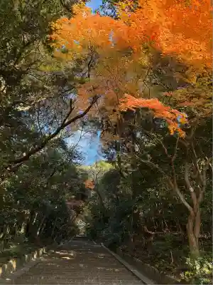 豊国廟(豊国神社飛地境内)(京都府)