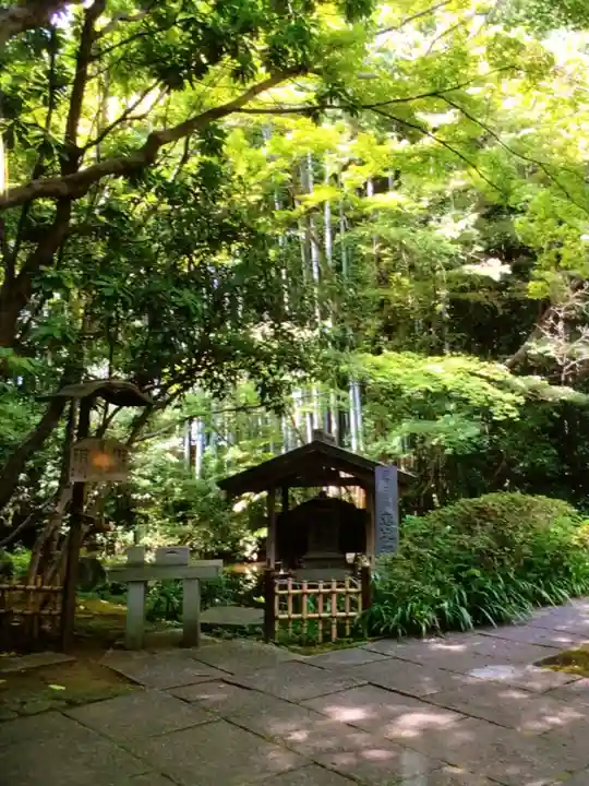 大正寺(東京都)
