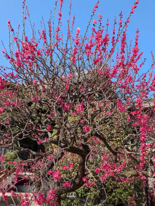 金藏院(神奈川県)